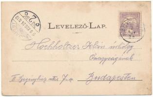 1900 Nagyenyed, Aiud; látkép, sétatéri síremlék, este. Grünfeld Dávid kiadása / general view, monume...