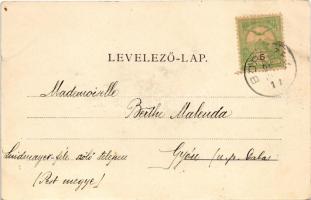 Borszék, Borsec; Széchenyi sétány és az új sáros fürdő. Soós kiadása / promenade, spa (fl)