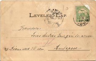 1902 Máramarossziget, Targu Mures; Római katolikus templom és algimnázium, Színházkert, m. kir.állam...