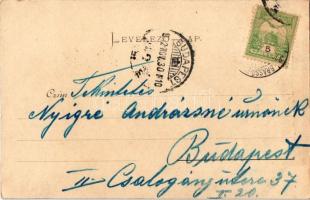 1902 Brassó, Kronstadt, Brasov; Fekete templom. Julius Müller's Nachfolger tartler & Schrei...