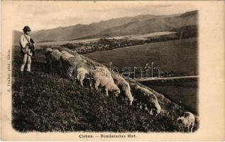 Nagyszeben, Hermannstadt, Sibiu; oláh pásztor a hegyekben. E. Fischer kiadása / Cioban / Romänischer Hirt / Romanian shepherd