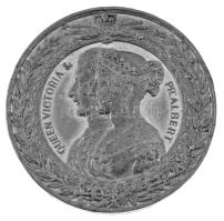 Nagy-Britannia 1844. &quot;Viktória királynő és Albert herceg / Az Új Londoni Királyi Tőzsde 1844&quot; Sn emlékérem. Szign.: Allen &amp; Moore (50,5mm) T:VF ph. Great Britain 1844. &quot;Queen Victoria and Prince Albert / The New Royal Exchange 1844&quot; Sn commemorative medallion. Sign.: Allen &amp; Moore (50,5mm) C:VF edge error