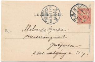 1901 Székelyhíd, Sacueni; Kossuth utca 1890-ben Őfelsége a Király (Ferenc József) látogatása alkalmá...