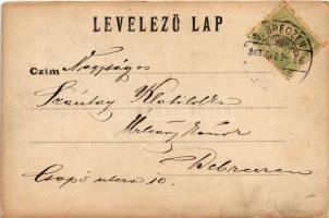 1903 Nagybánya, Baia Mare; látkép, utca / general view, street. photo (kopott sarkak / worn corners)