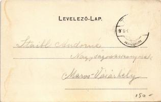 Teke, Tekendorf, Teaca; látkép. Michael Kain kiadása / general view (gyűrődés / crease)