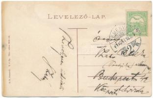 1913 Temesvár, Timisoara; park részlet / park (ázott / wet damage)