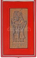 Búza Barna (1910-2010) ~1975. "Béke - Barátság" egyoldalas bronz plakett eredeti tokjában (135x62mm) T:AU