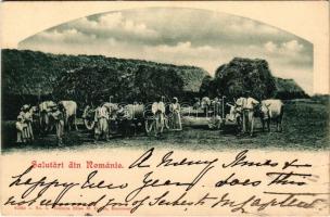 1901 Salutari din Romanie. Elias M. Cohen Bucuresci / Romanian folklore