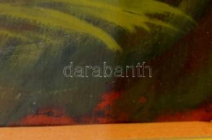 Barta István (1892-1976): Színes madár. Akvarell, papír, jelzett, üvegezett fakeretben. 29x24 cm