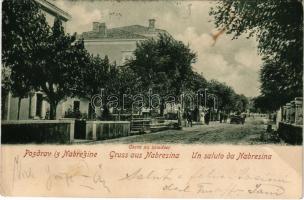 1903 Aurisina, Nabrezina, Nabresina; Cesta na kolodvor / street to the railway station