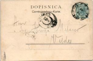 1903 Aurisina, Nabrezina, Nabresina; Cesta na kolodvor / street to the railway station