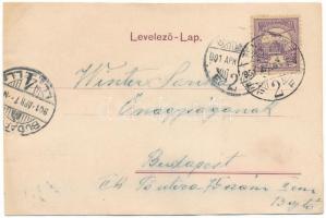 1901 Temesvár, Timisoara; látkép / general view (ázott / wet damage)