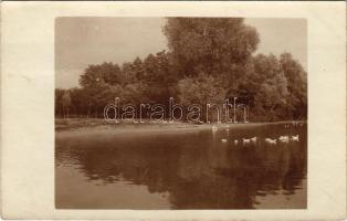 1911 Nagysáró, Velké Sarovce (Sáró, Sarovce); vízpart kacsákkal / riverside with ducks. photo