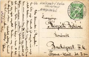 1911 Nagysáró, Velké Sarovce (Sáró, Sarovce); vízpart kacsákkal / riverside with ducks. photo