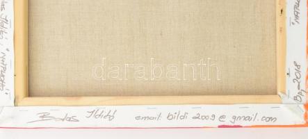 Balás Ildikó (1967): Napkohó. Akril, vászon. Jelzett, hátoldalán a művész autográf feliratával. 40x4...