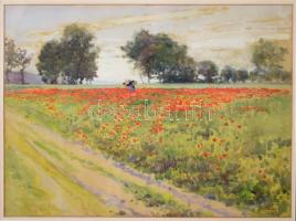 Voss, Carl Leopold (1856-1921): Pipacsmező (Mohnfeld). Akvarell, papír, jelzett, hátoldalán a )Műncheni Művészegylet 1911-ben rendezett jubileumi kiállítási címkéjével (Jubiläums-Ausstellung der Münchener Künstler-Genossenschaft) és rajta a művész autográf aláírásával, üvegezett fakeretben, 30,5x41,5 cm / Voss, Carl Leopold (1856-1921), German painter: Mohnfeld. Watercolour on paper, signed, with autograph signature of the artist on exhibition label (Jubiläums-Ausstellung der Münchener Künstler-Genossenschaft 1911) on the reverse. Framed