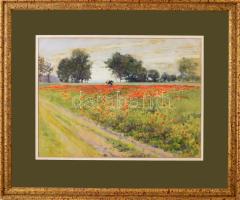 Voss, Carl Leopold (1856-1921): Pipacsmező (Mohnfeld). Akvarell, papír, jelzett, hátoldalán a )Műnch...