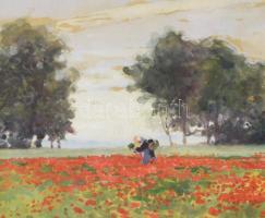 Voss, Carl Leopold (1856-1921): Pipacsmező (Mohnfeld). Akvarell, papír, jelzett, hátoldalán a )Műnch...