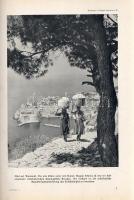 Neubach, Walter: 
Jugoslavien. Ein Reisebuch von Walther Neubach. Mit 64 Abbildungen.
Bielefeld un...