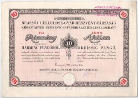 Budapest 1935. "Brassói Cellulose-Gyár-Részvény-Társaság" 10db részvénye egyben, egyenként 30P-ről, német és magyar nyelven bélyegzéssel, szárazpecséttel, szelvényekkel T:F