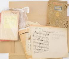 Herzog József (1880-1941) levéltáros, történész, a Magyar Tudományos Akadémia tagja jegyzetei, kéziratai egy mappányi anyag