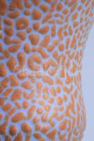 Gorka Géza (1894-1971): Kisváza ugrasztott mázzal. Jelzett, m: 10 cm