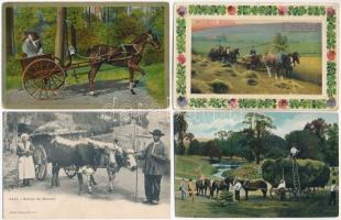 7 db RÉGI képeslap vegyes minőségben: teherhordó állatok / 7 pre-1945 postcards in mixed quality: animal transport