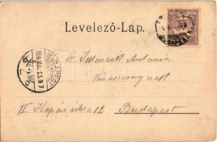 1900 Székesfehérvár, Ciszterciták temploma. Klökner Péter kiadása 32. (EB)