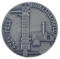 1979. "Dr. Széki János 1879-1979 / Széki-féle brikettpárló" ezüstpatinázott fém emlékérem,...