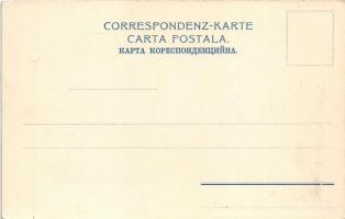 Chernivtsi, Czernowitz, Cernauti, Csernyivci (Bukovina, Bucovina, Bukowina); Gruss aus Bukowina, Lip...