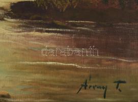 Árvay T jelzéssel: Vízparti romantikus táj. Olaj, vászon. Fakeretben, 40×50 cm