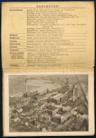 Schimmel és Társa nemzetközi esszencia, illóolaj és vegyészeti gyár budapesti, lipcsei és több külfö...