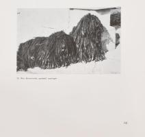 Dr. Ócsag Imre: A puli. Bp., 1962, Mezőgazdasági Könyvkiadó. Kiadói félvászon kötés, jó állapotban