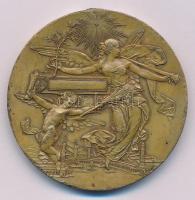 Spanyolország 1888. "Barcelonai Egyetemes Világkiállítás" bronz díjérem szalagon, "E....