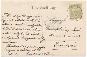1906 Szentjobb, Saniob (Bihar, Bihor); A régi apátsági lak ablaka mellől. Rajzolt lap / old abbey wi...