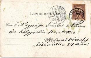 1901 Felsővisó, Viseu de Sus; Vasér völgye, Sziklás patak. Joerges A. özv. és fia kiadása (Selmecbán...