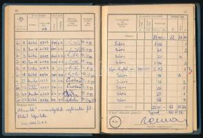 1963-1967 Czecze László (1935-?) fényképes repülési naplója