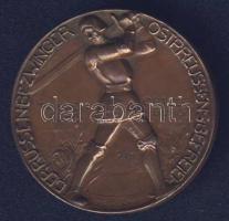 Német Császárság 1914. "Tannenbergi csata - Hindenburg" Br emlékérem. Szign. Wental T:2