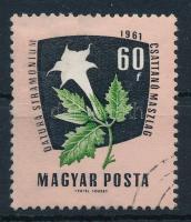 1961 Gyógynövények 60f szürke színnyomat és termés nélkül. RR!! (150.000)