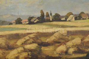 T. Fülöp Gyula (működött a XX. sz. első felében): Napos táj. Olaj, vászon, jelezve jobbra lent. Sérü...