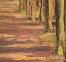 Koch Ella (-): Erdei út. Olaj, karton, dekoratív, kissé sérült keretben, 46x58 cm