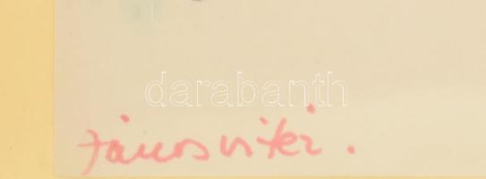 Aczél Ilona (1929-2000): János Vitéz (Szerelmespár lovon). Tus, papír, jelzés nélkül. Üvegezett kere...