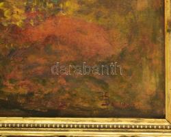 HB 1904 jelzéssel: Őszi erdő. Olaj karton. Jelzett. Dekoratív keretben. 48x42 cm