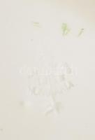 Városlődi kerámia "Balatoni emlék" feliratú mázas kerámia fali tál, apró mázhibákkal, jelz...