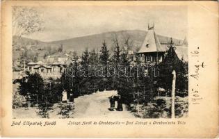 1905 Előpatak, Valcele; Lobogó fürdő és Otrobán villa / spa, villa (EB)