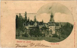 1900 Sinaia, Castelul Peles / castle (fl)