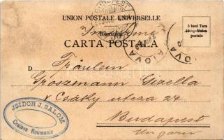 1900 Sinaia, Castelul Peles / castle (fl)