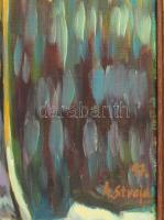 Marjanovic Straja (1973-): Csendélet. Olaj, vászon, jelzett, hátoldalán autográf felirattal, fakeret...