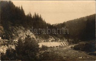 1917 Vatra Dornei, Dornavátra, Bad Dorna-Watra (Bukovina, Bucovina, Bukowina); Josefsthal (Josephstal), Dornavátra és Csernyivci közötti országút szekerekkel / road between Vatra Dornei and Chernivtsi (Czernowitz) with horse-drawn carriages. photo