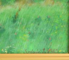 Somogyi Szántó Béla (1945-): Pogányvári hegy. Olaj, farost, jelzett, hátoldalán Képcsarnok címkével....